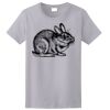 Ladies Ultra Cotton ® 100% Cotton T Shirt Thumbnail