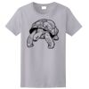 Ladies Ultra Cotton ® 100% Cotton T Shirt Thumbnail