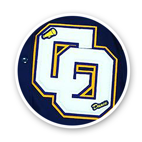 CHENILLE VARSITY LETTER PATCH