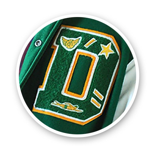 CHENILLE VARSITY LETTER PATCH